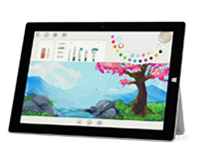 万州Surface 无法开启、Windows 无法启动或电池无法充电